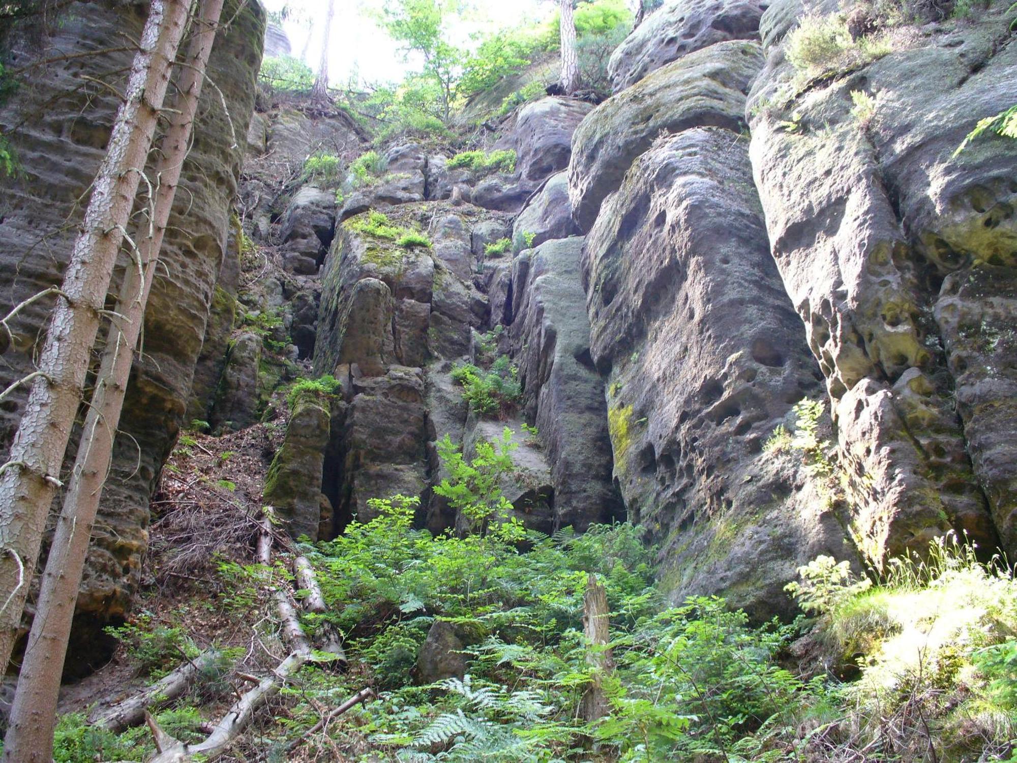 Penzion Braun Rybniste Exterior foto
